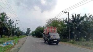 Bajing Loncat Beraksi di Malam Gelap Gulita,Masyarakat Sei Bamban Dan Suka Damai Resah