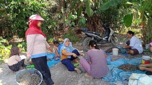 Begini Cara Kaum Ibu Pantai Cermin Hasilkan Uang Dari Kupang