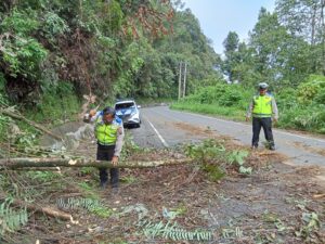 Banyak Kendaraan Macet, Satlantas Polres Pakpak Bharat Singkirkan Pohon di Jalan