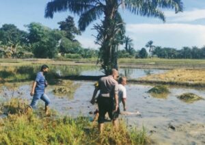 Masyarakat Dihebohkan Lagi, Sesosok Mayat Ditemukan di Sawah