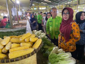 Bupati Sergai Tinjau Harga Sembako di Pasar dan Periksa Hewan Kurban