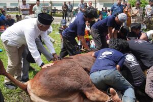 1200 Kupon Daging Kurban Dibagikan Pengurus Partai Gerindra Sumut