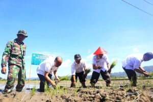 Nikson Nababan “Sulap” Rawa-Rawa Jadi Kolam Ikan