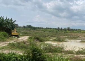 Empat Tahun Berlalu, Kapoldasu Diminta Usut Hingga Tuntas Dugaan Perusakan Lingkungan Di Wilayah PTPN Tanjung Garbus