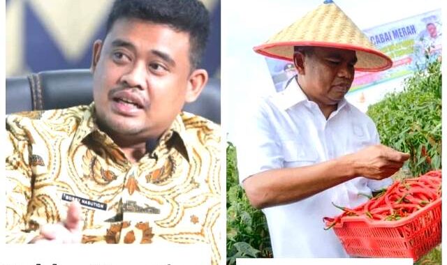 Ketua HKTI Sergai Dukung Duet Bobby – Darma Wijaya di Pilgubsu
