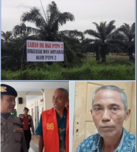 Peran Mafia Tanah di Atas Areal HGU No. 62 Kebun Penara PTPN II, Para Penggugat Akui KTP Dan KK Dipalsukan