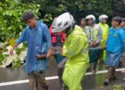 Korban Meninggal Longsor di Sibolangit Bertambah Jadi 9 Orang