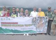 Drama Haru Sang Ratu Rimba yang Pulang setelah Sembuh dari Terluka oleh Peradaban