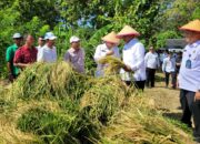 Berdayakan Warga Binaan Pemasyarakatan, Ditjenpas Mashudi Siapkan Lahan Pertanian dan BLK: Agar Produktif, Bermanfaat untuk Masyarakat