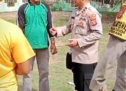 Desa Sama Dua Bersiap Sambut HUT RI ke-80: Gapura Desa Dipercantik Secara Gotong Royong