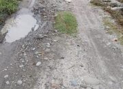Baru 7 Bulan Selesai Dikerjakan, Jalan di Dusun I Desa Sei Rejo Rusak Parah