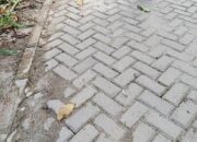 Habiskan dana Rp199 Juta, APH Diminta Periksa Pembangunan Paving Blok Dinas Perkim Sergai di Desa Suka Damai