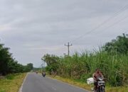 PPJ Terus Dibayar, Jalan Umum Di Kecamatan Teluk Mengkudu Gelap Gulita