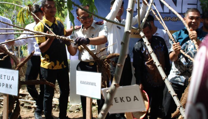 Sukses Berdayakan Warga Binaan, Kanwil Ditjenpas Aceh Panen Raya di Lapas Blangpidie