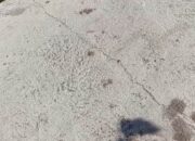 Memperihatinkan, Baru Usia 2 Bulan Bangunan Jalan Lingkungan Rabat Beton Sudah Retak