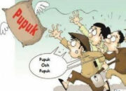 Pupuk Langka, Petani Kian Resah, Pemerhati Sosial Aceh Timur Minta Dinas Terkait Segera Turun kelapangan 