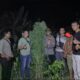 Temukan Ganja dan Tanaman Ganja, Polsek Tanjung Morawa Polresta Deli Serdang Amankan Pelaku