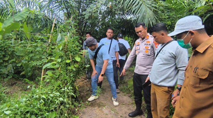 Dilakukan Pengembangan, Satresnarkoba Bersama Polsek Tanjung Morawa Kembali Temukan Pohon Ganja