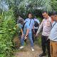 Dilakukan Pengembangan, Satresnarkoba Bersama Polsek Tanjung Morawa Kembali Temukan Pohon Ganja