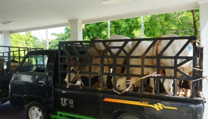 Pemkab Deli Serdang Sambut Baik Program CSR Hewan Kurban PT Angkasa Pura Aviasi