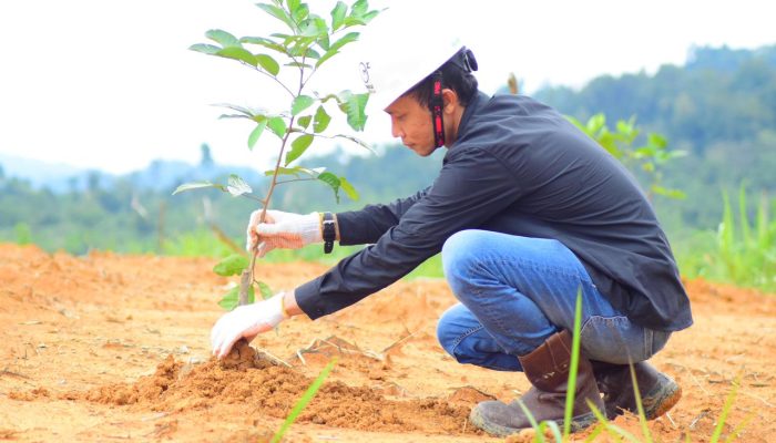 Dukung Rehabilitasi Lingkungan Pascabanjir Aceh Timur,Medco E&P Malaka, BPMA, IM-TRAX Tanam 1.000 Pohon