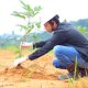 Dukung Rehabilitasi Lingkungan Pascabanjir Aceh Timur,Medco E&P Malaka, BPMA, IM-TRAX Tanam 1.000 Pohon