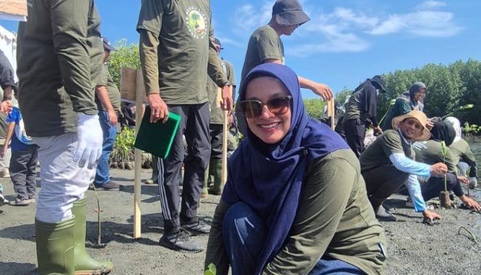 Medco E&P dan BPMA Tanam 1.000 Mangrove di Banda Aceh 