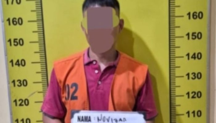 Satresnarkoba Polresta Deli Serdang Ungkap Kasus Peredaran Narkotika, Seorang Pria Berhasil Diamankan
