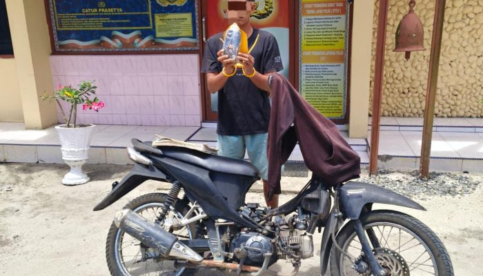 Sempat Buron, Tim Jatanras Polres Simalungun Bersama Polsek Gunung Malela Tangkap Tersangka Curas 