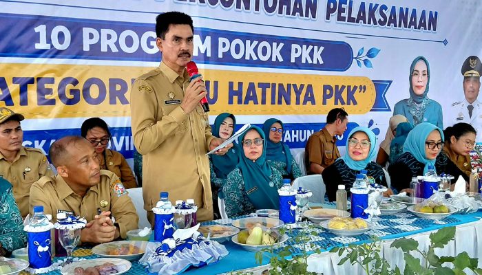 Masuk Tahap Evaluasi, Desa Tandam Hulu I Wakili Deli Serdang di AKU HATINYA PKK