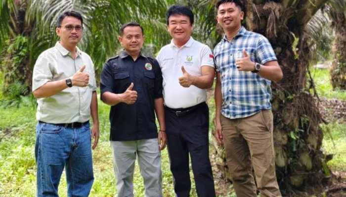 Allinone Cote Kenalkan Pupuk Pintar 360 Hari, Solusi Efisiensi dan Pertanian Berkelanjutan