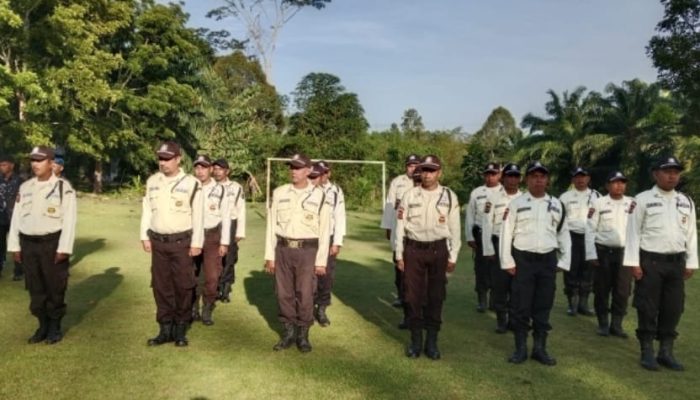 Kasus “Sawit Kencing” Tegakkan Qanun Dulu, Pidana Jika Perbuatan Berulang   