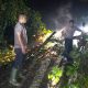 Pohon Tumbang Tutupi Jalan, Kapolsek Idi Tunoeng dan Anggota Gerak Cepat.